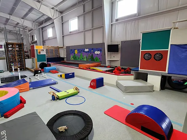 உடற்பயிற்சி மென்மையான பேக்கேஜிங்கின் பயன்பாடுகள்